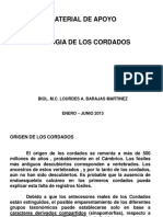 Material de Apoyo Cordados Ene-Jun 2013 PDF