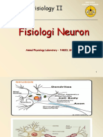 02 Fis Neuron