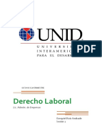 DL1 PDF