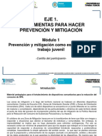 Cartilla Participante Prevencion Mitigacion PDF