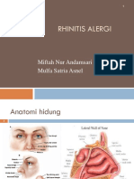 267845042-Rhinitis-Alergi-Ppt.ppt