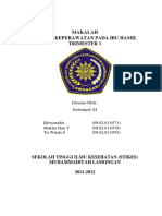 Askep Ibu Hamil Trimester 1 PDF
