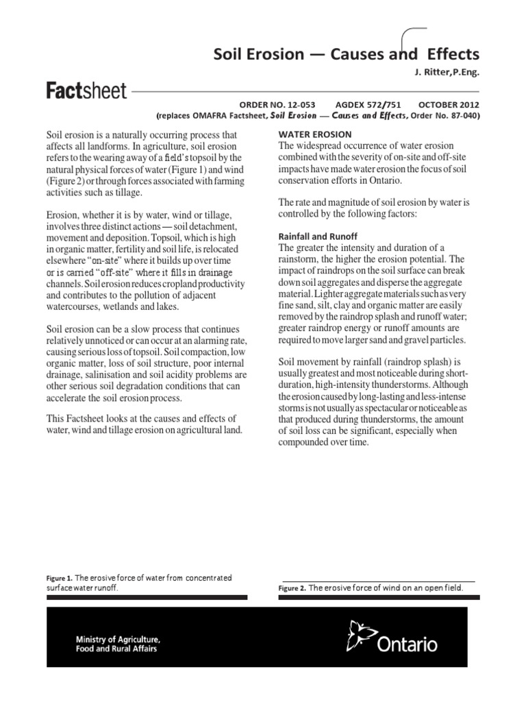Soil Erosion: Causes and Effects | PDF | Erosion | Surface Runoff