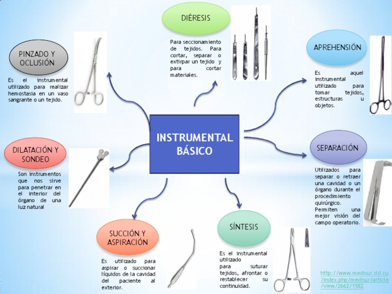 Instrumental Basico Cardio PDF Especialidades Medicas Medicina
