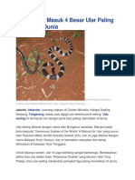 Ular Weling Adalah Ular Paling Berbisa Di Dunia