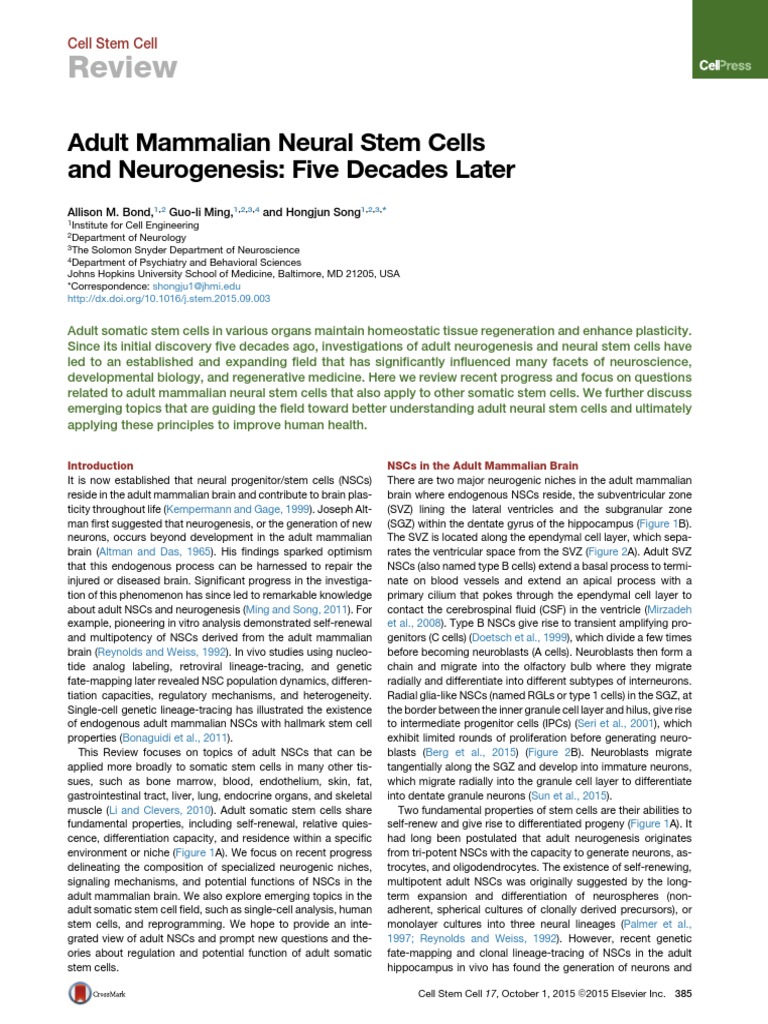 Adult Mammalian Neural Stem Cells and Neurogenesis Five de 2015 Cell ...