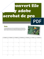 Test Convert File PDF by Adobe Acrobat DC Pro