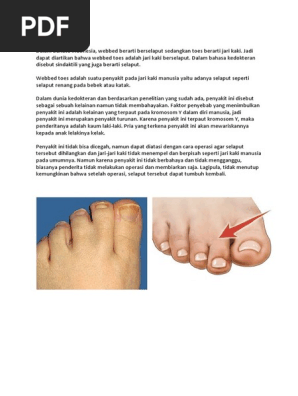 Weebed Toes Pdf