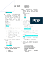 Soal Ulangan Jaringan Tumbuhan 2