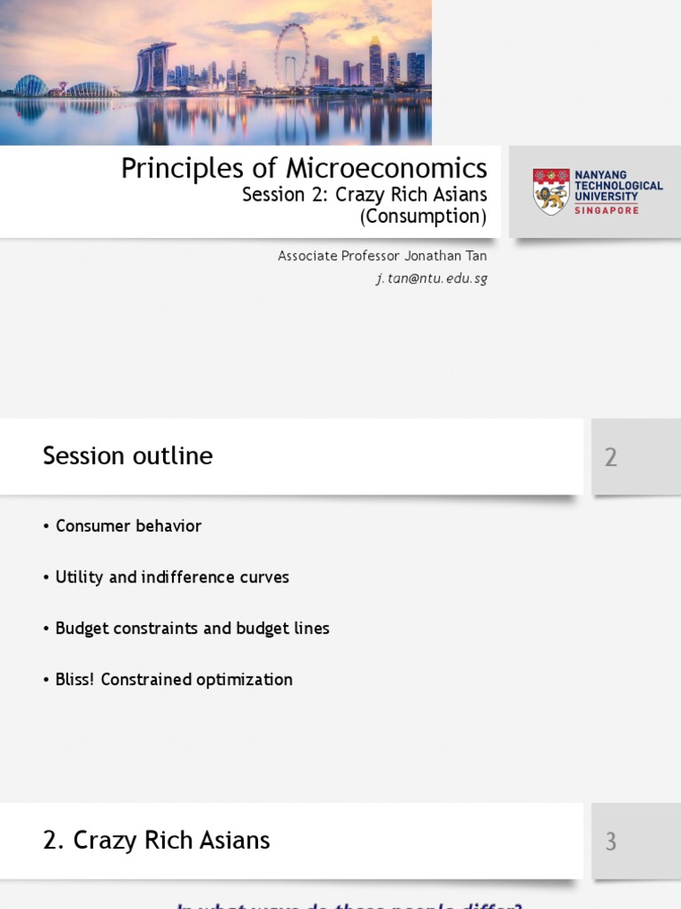 Consumer Behavior and Utility Analysis | PDF | Utility | Microeconomics