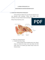 Lap Anatomi Dan Fisiologi Sistem Pendengaran