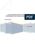 Recuperación de suelos contaminados