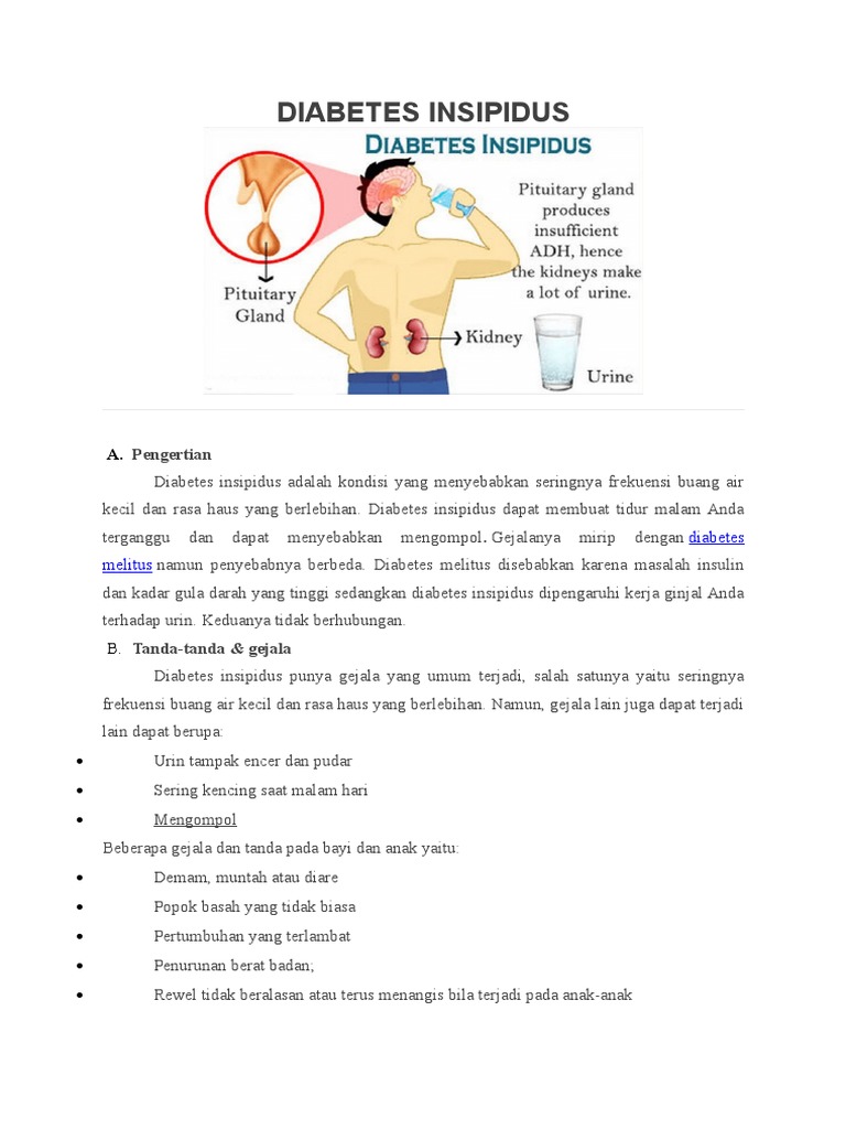 Diabetes Insipidus PDF