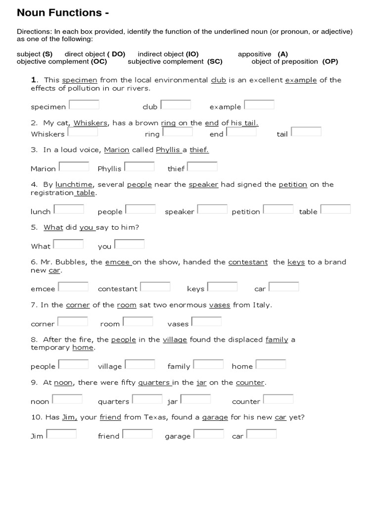 functions of nouns worksheet pdf object grammar noun