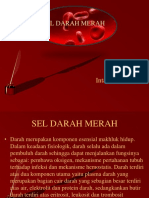 Sel Darah Merah