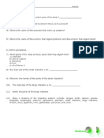 02-CP3 Diet - Digestive