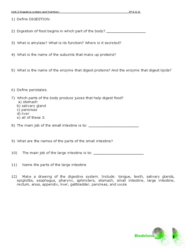 02 Cp3 Diet Digestive Human Digestive System Digestion