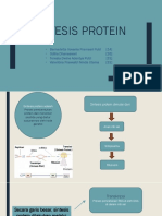 Sintesis Protein