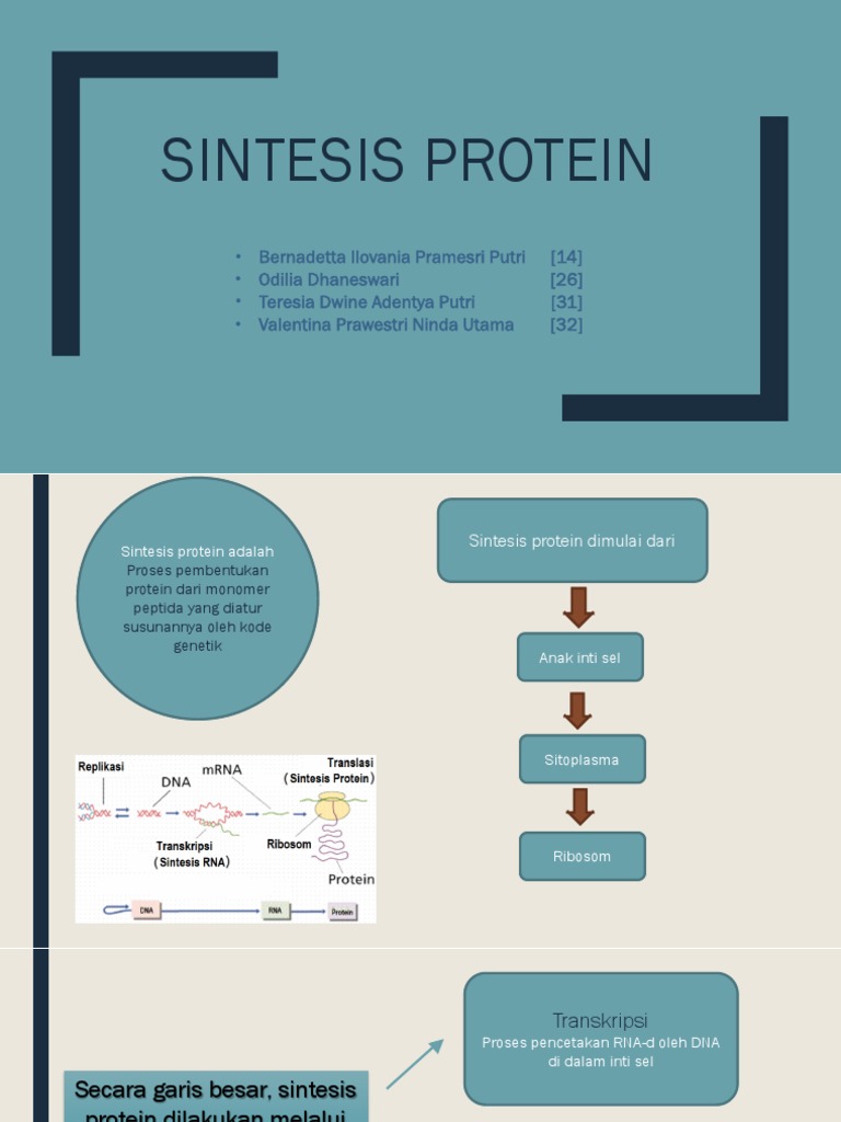 Proses Sintesis Protein dalam Sel | PDF