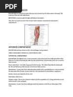 Forearm Muscles: Anterior Compartment