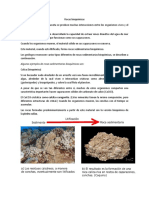 Trabajo de Geología n8