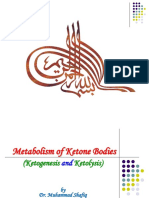 Metabolism of Ketone Bodies