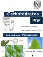 Carbohidratos