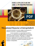 Mecanismul Financiar