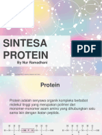 Sintesis Protein