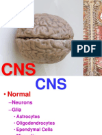 CNS Cellular Reactions and Classical Disease Patterns