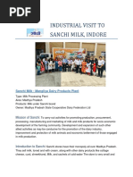 Industrial Visit to Sanchi.