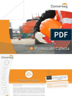 Protección de La Cabeza