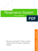 Respiratory System: Gas Exchange