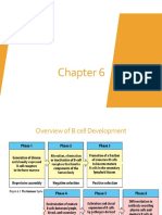 B Cell Development and Receptor Editing