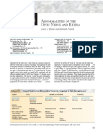 Optic Nerve PDF