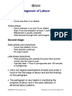 Obstetricsafetyprotocols.pdf