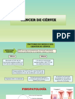 Cancer de Cervix PDF