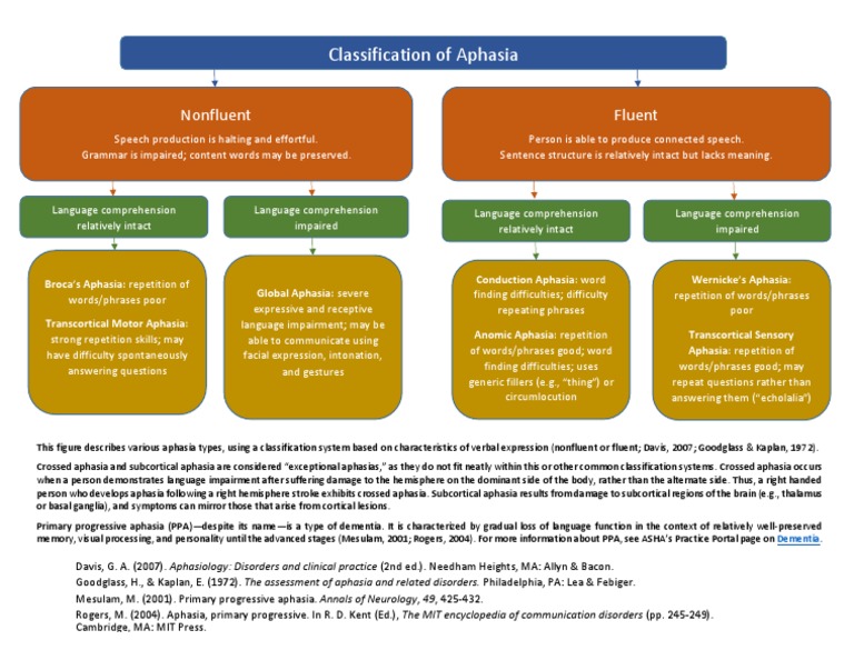 Types and Classification of Aphasia | PDF | Aphasia | Neurology