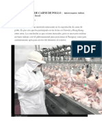 Exportación de Carne de Pollo