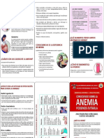 Triptico Anemia