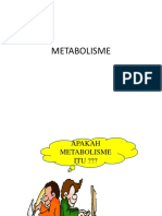 Metabolisme 1