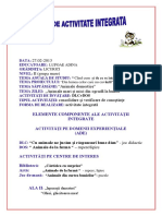 Proiect Activitate Integrata 1 PDF