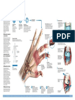 2015-infco-artritis.pdf