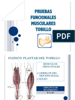 Tobillo Prueba Manual Muscular PDF