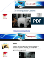 Cursos peluquería canina