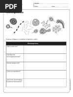 GUIA DE Microorganismo 5 Bas. PDF