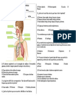 5° Sistema Respiratorio