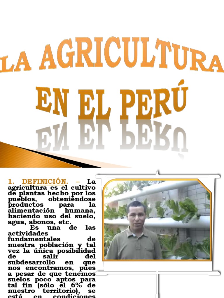 La Agricultura En El Peru 160325163218 Pdf Pdf Maíz Patata