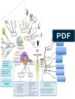Partes y Funciones Del SNC Poli PDF