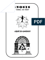 1 Que es Gnosis.pdf